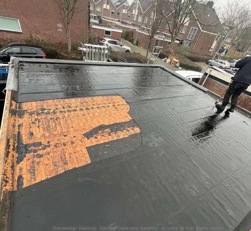 Dakleer Reparatie Geldrop